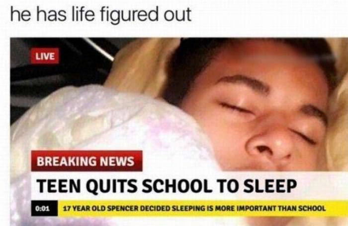 quits school to sleep funny picture