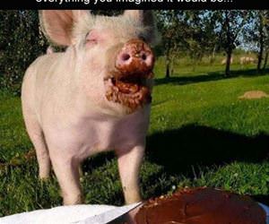 quitting your stupid diet funny picture