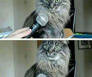 racecar backwards funny picture