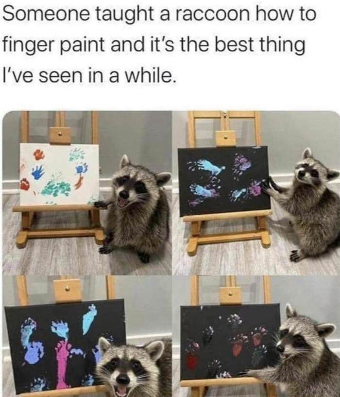 racoon finger paints