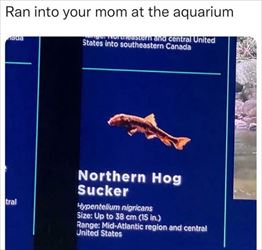 ran into your mom