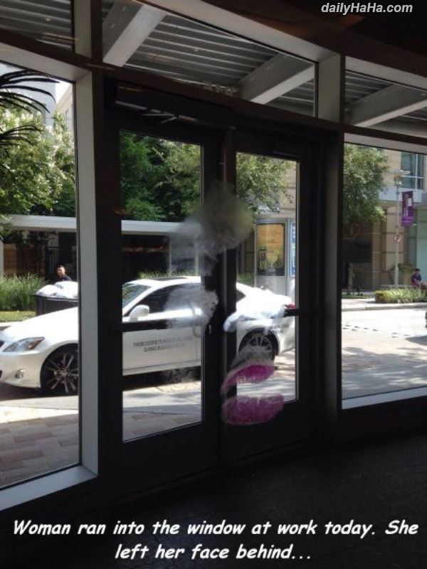 ran into the window funny picture