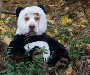 rawwwwwwrrrrr funny picture