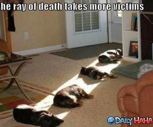 Ray of Death funny picture