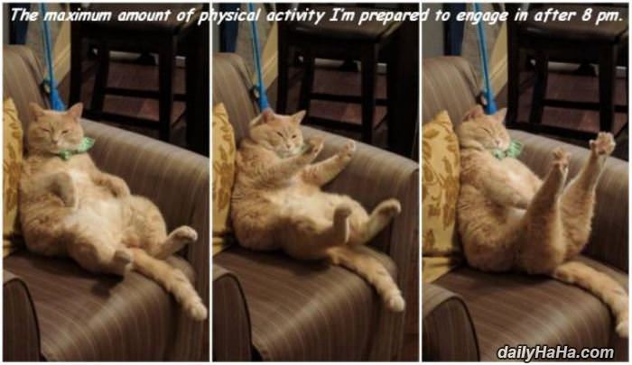 reached my max funny picture