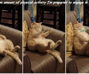 reached my max funny picture