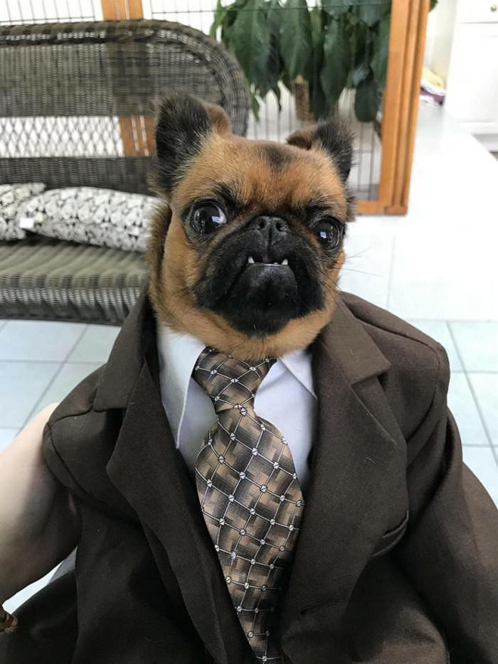 ready for business