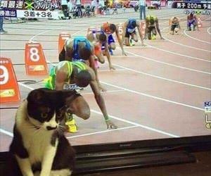 ready for the big race