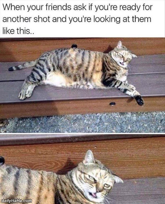 ready for another shot funny picture