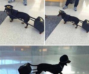 ready to take off funny picture