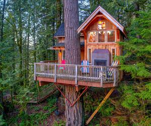 really cool tree house