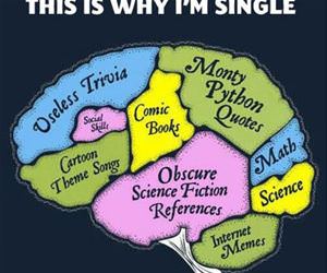 reasons i am single funny picture
