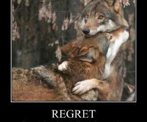 Regrets funny picture 