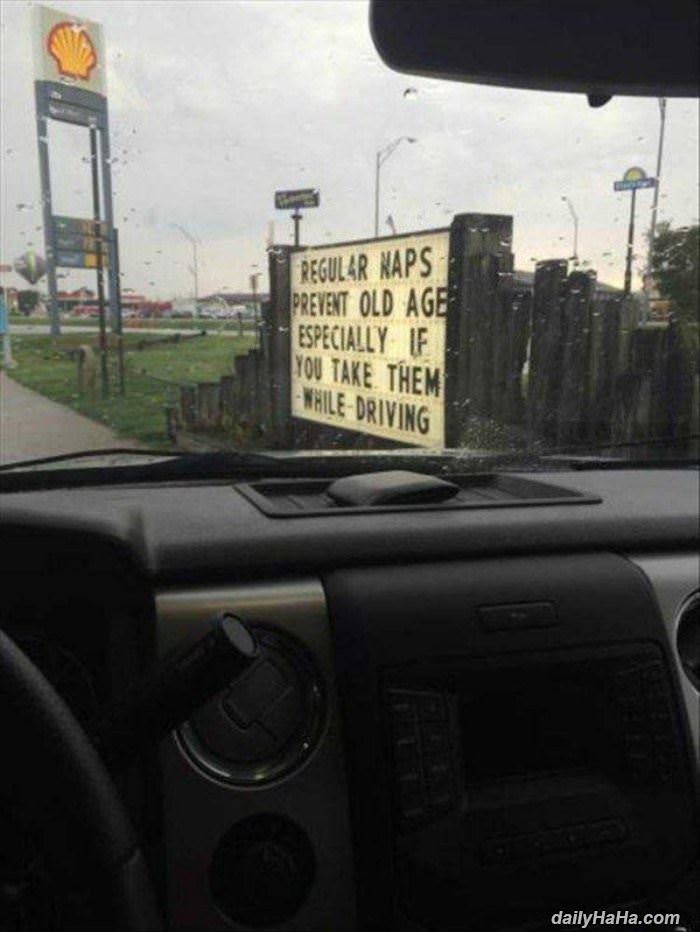 regular naps funny picture