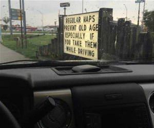 regular naps funny picture