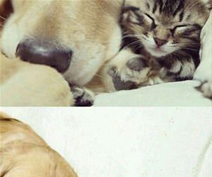 rejected by mother funny picture