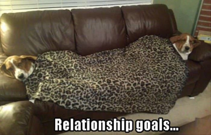 relationship goals funny picture
