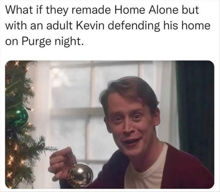 remade home alone