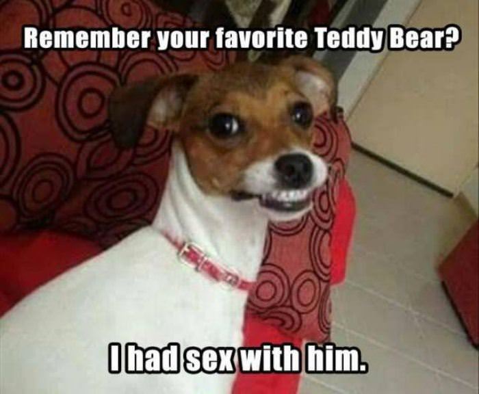 remember it funny picture