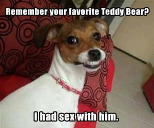 remember it funny picture