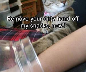 remove your hand funny picture