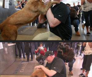 reunited funny picture