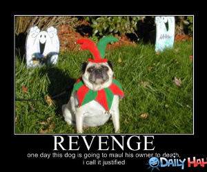 Revenge funny picture