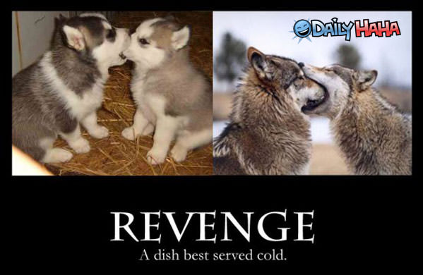 Revenge Served Cold Pic