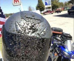 riding in the summer