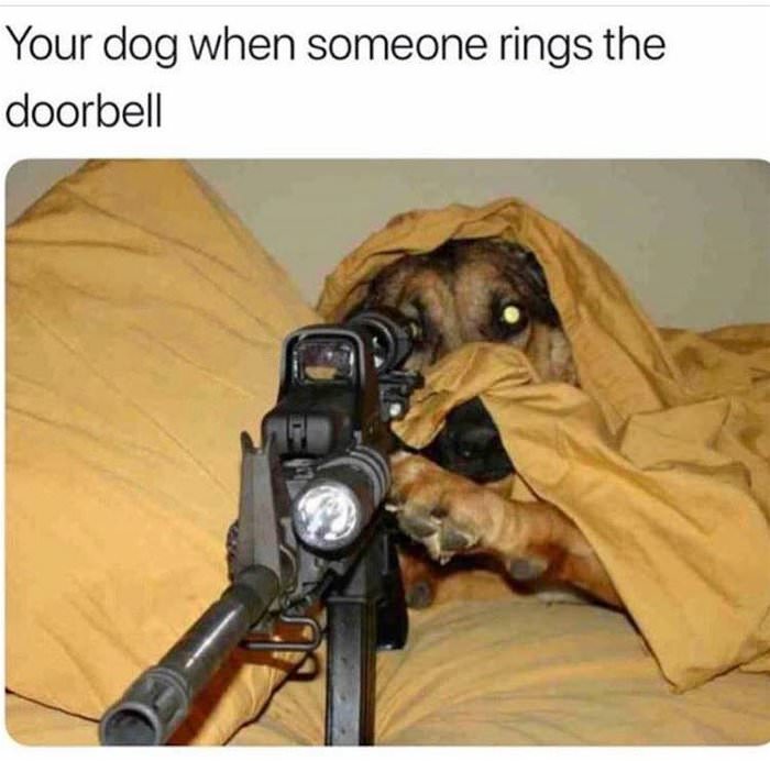 rings the doorbell