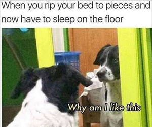 rip your bed up