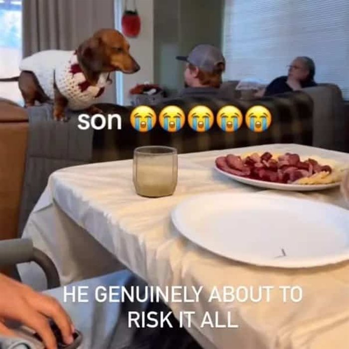 risk it all