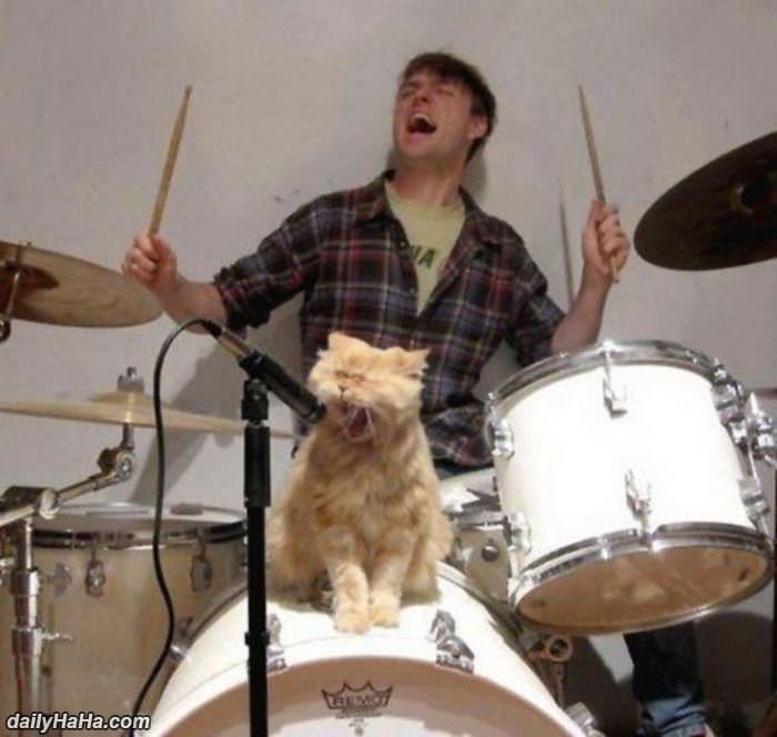 rock out funny picture