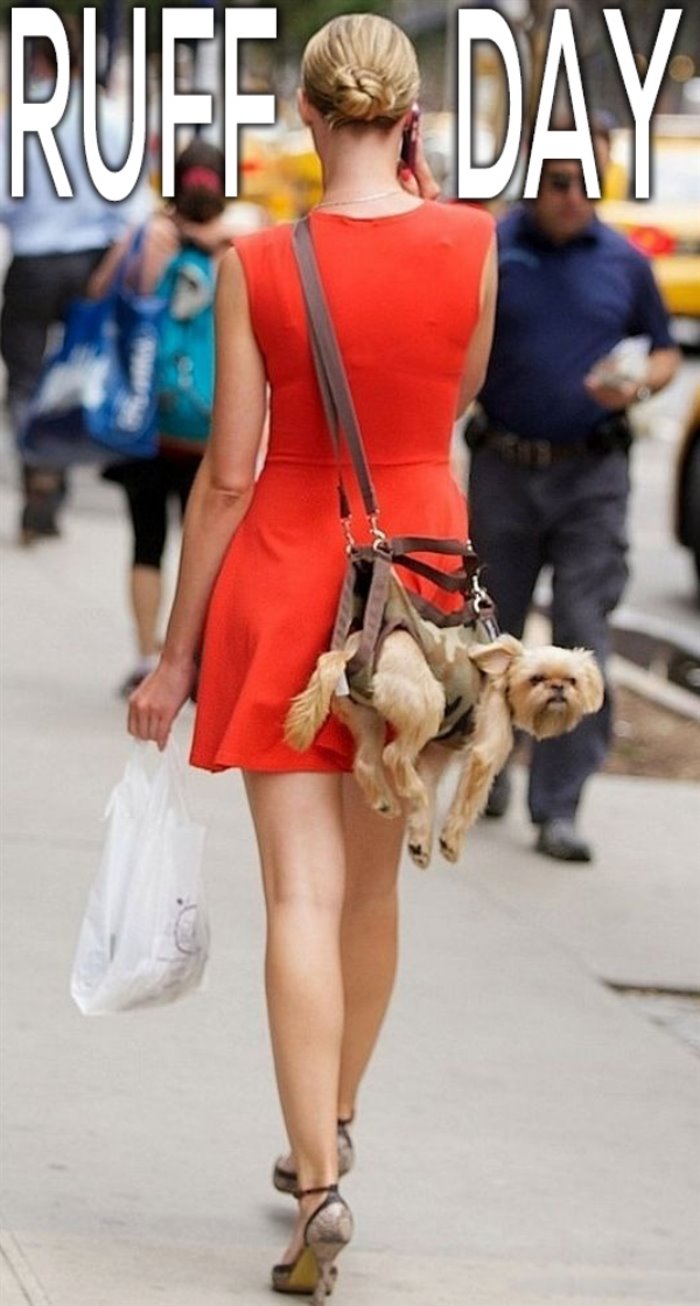 ruff day