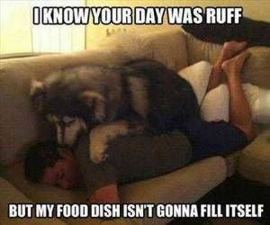 ruff day funny picture