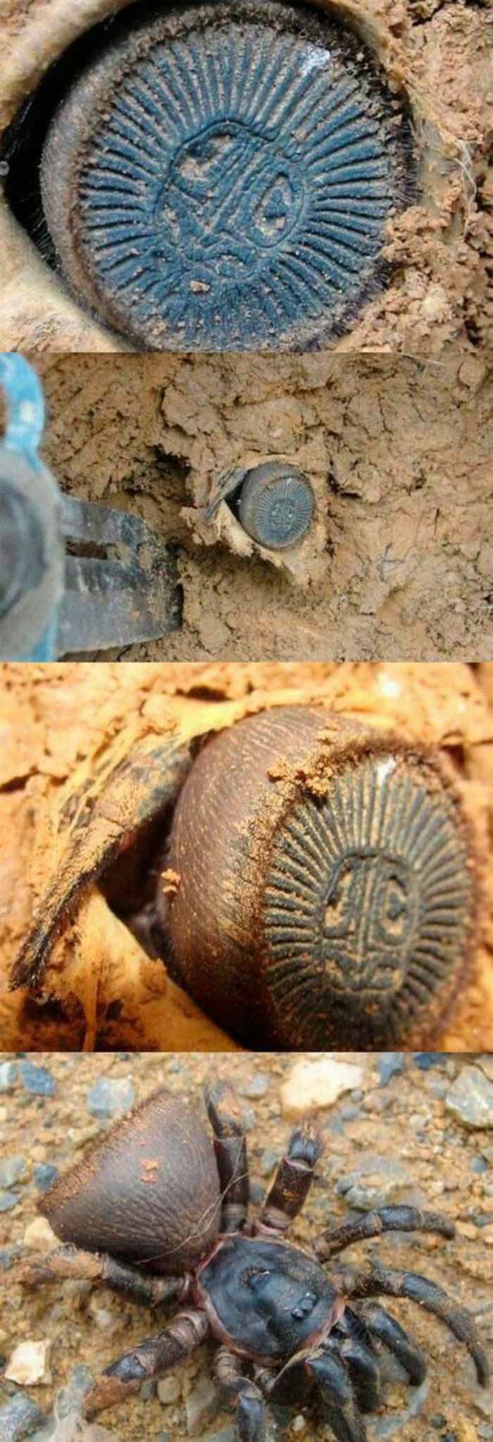 run for your life funny picture