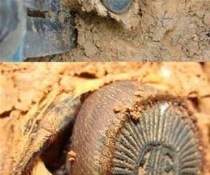 run for your life funny picture