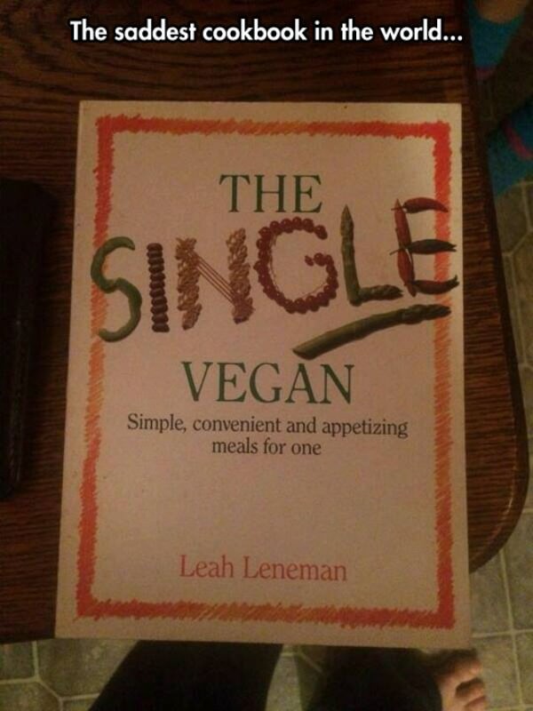 Saddest Cookbook Ever funny picture