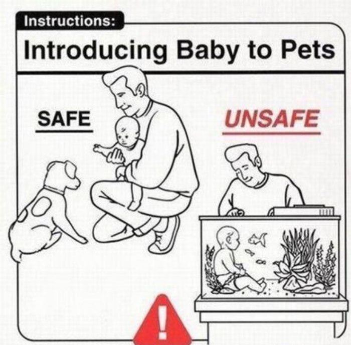 safe and unsafe funny picture