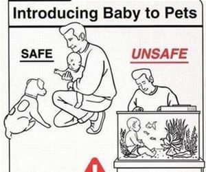 safe and unsafe funny picture