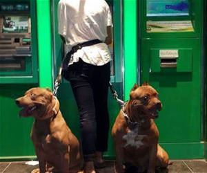 safely use an atm funny picture