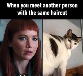 same haircut