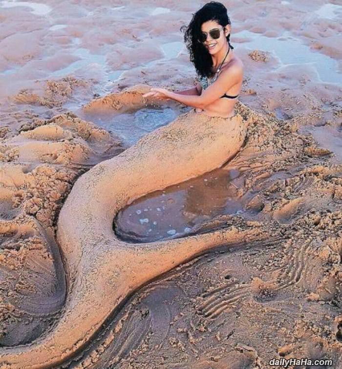 sandy mermaid funny picture