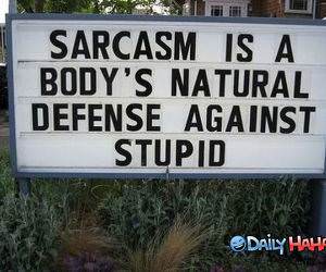 Sarcasm funny picture
