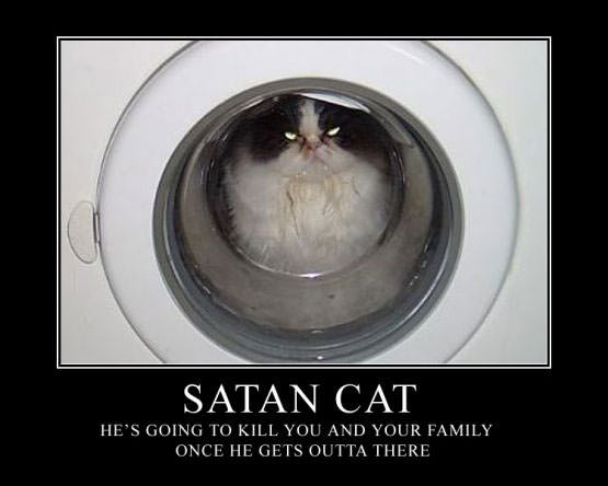 Satan Cat