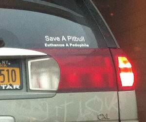Save A Pitbull