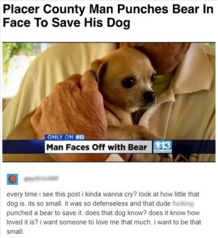 save his dog