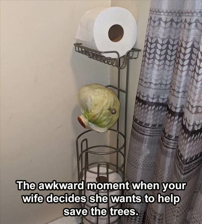 save the trees ... 3