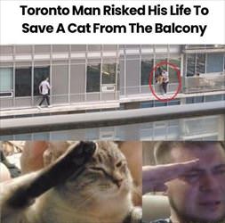 saves a cat