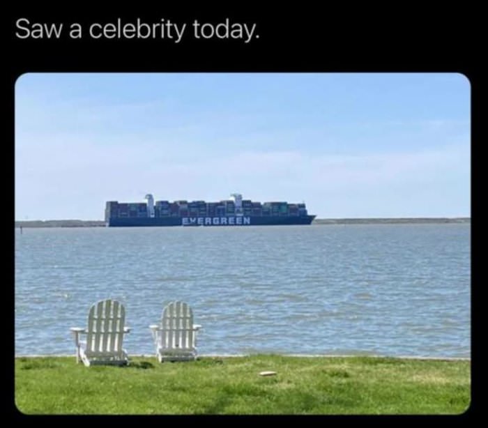 saw a celebrity today